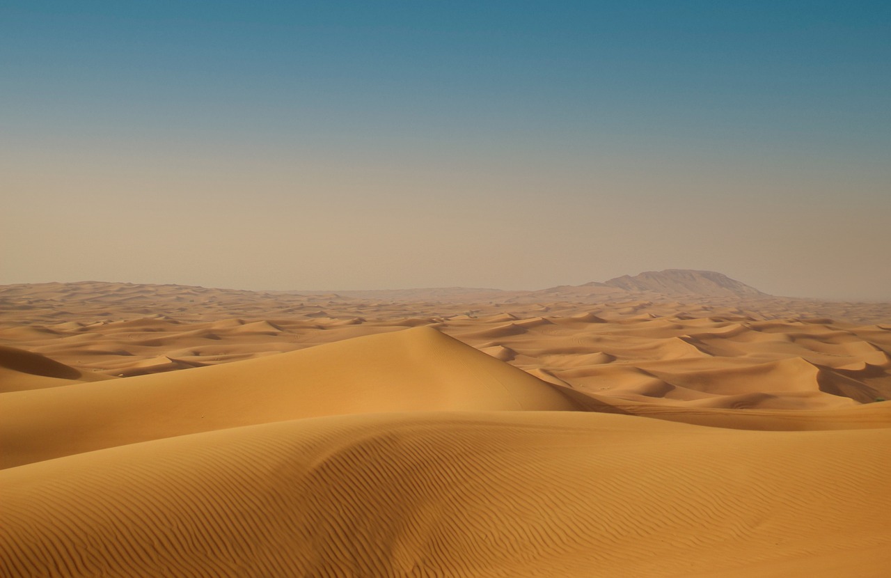 Ce gratte-ciel titanesque de 170 km en Arabie saoudite menace des milliards d&rsquo;oiseaux : un défi écologique colossal