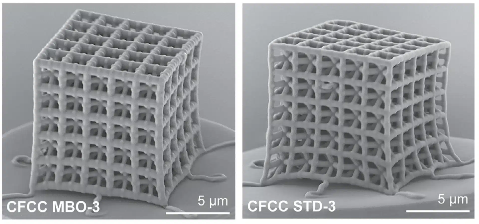 Gros plans des motifs de treillis du nanomatériau capturés par un microscope électronique à balayage à émission de champ