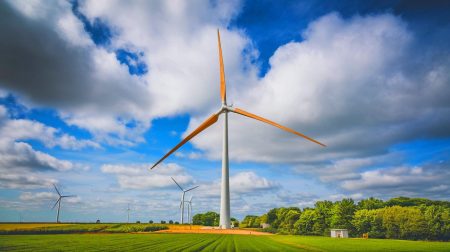 Ces pales géantes en bois, plus longues qu'un terrain de foot, promettent de révolutionner l'énergie éolienne