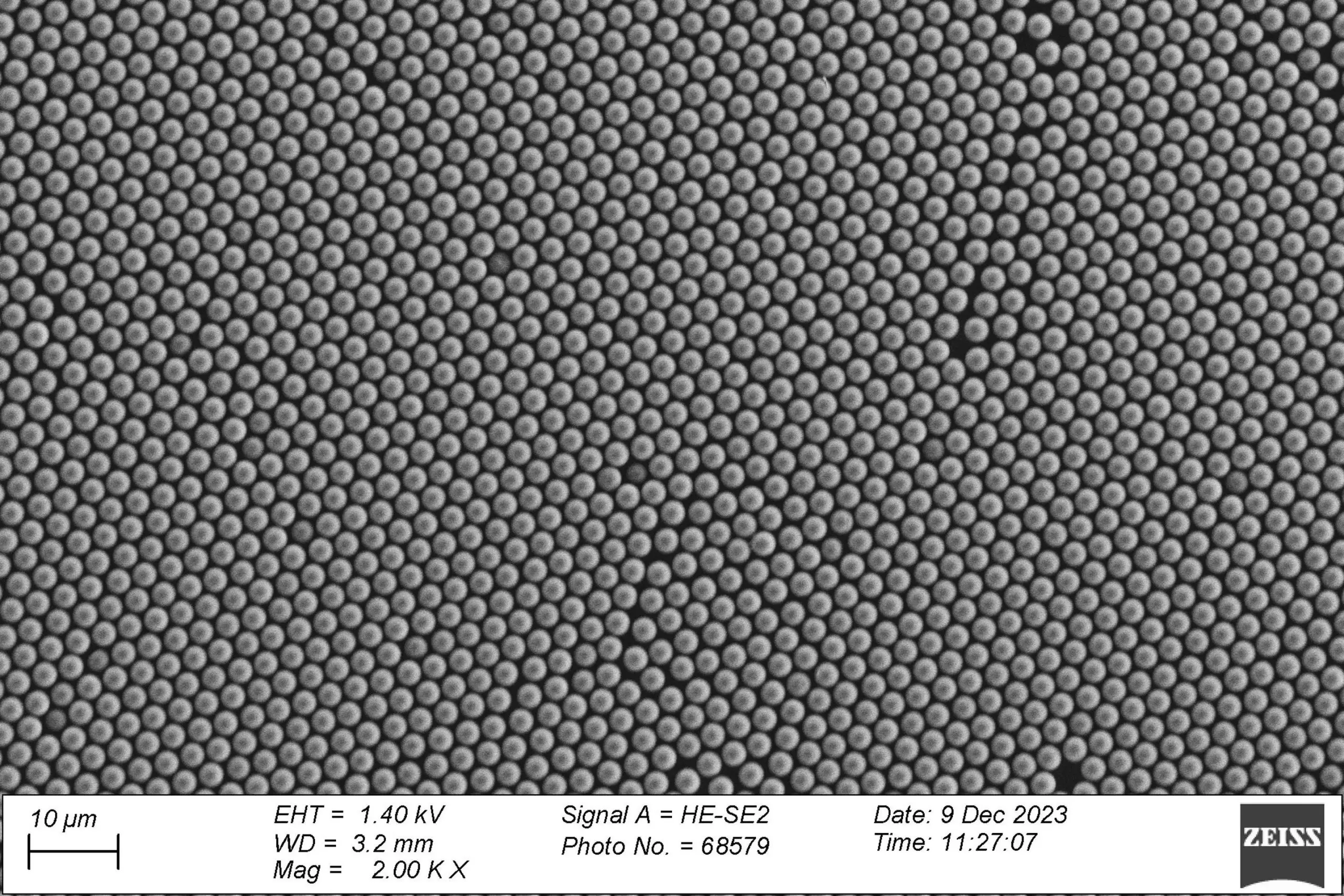 Une image au microscope électronique des perles conçues pour la nouvelle étude.