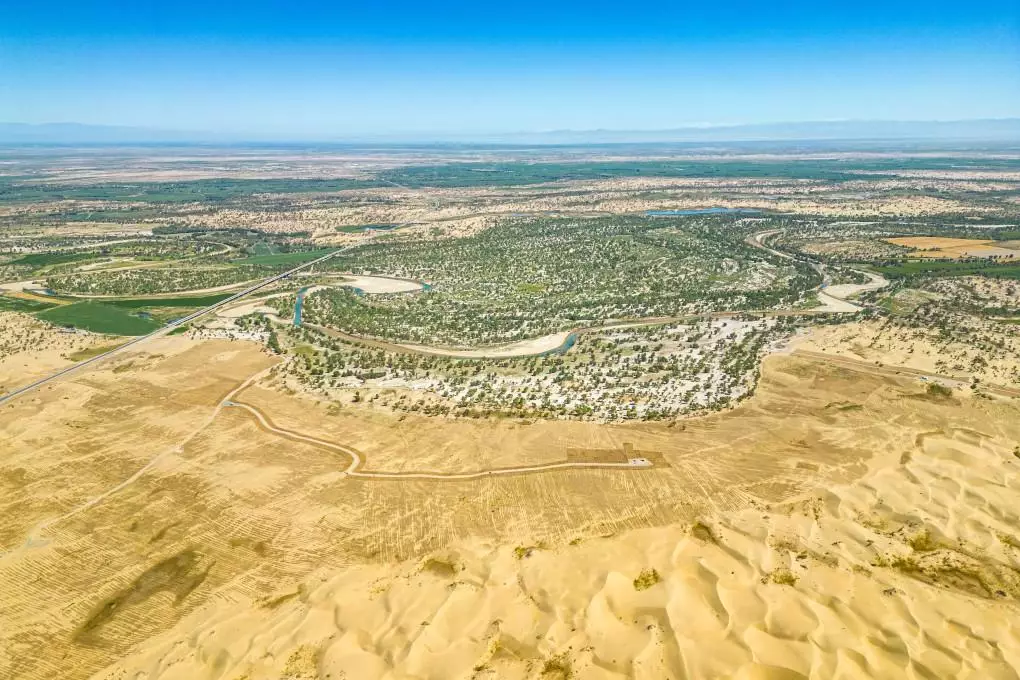 La Chine a créé une vaste ceinture verte composée de plantes résistantes au sel et à la sécheresse pour lutter contre la désertification dans la région du Xinjiang. Photo : CFOTO/Future Publishing via Getty Images