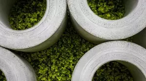 « Révolution béton » : ce ciment circulaire écologique et ultra-résistant bouleverse l’industrie
