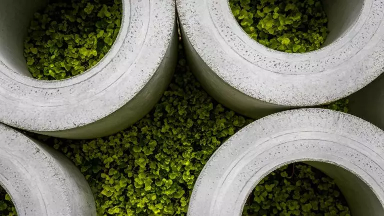 « Plus résistant qu’un bunker » : ce ciment circulaire pourrait révolutionner le béton et sauver la planète « Révolution béton » : ce ciment circulaire écologique et ultra-résistant bouleverse l’industrie