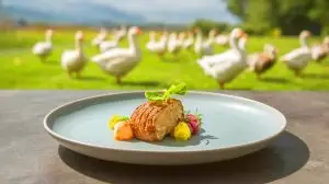 « Une révolution pour le foie gras » : ce chercheur dévoile une méthode historique sans gavage pour les oies et canards