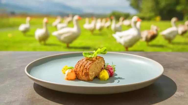 « Fin du gavage, c’est officiel » : cette méthode révolutionnaire promet un foie gras éthique sans faire souffrir oies ni canards « Une révolution pour le foie gras » : ce chercheur dévoile une méthode historique sans gavage pour les oies et canards
