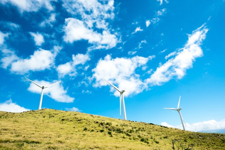 « Les éoliennes renaissent en plastique ultra-résistant » : 70 % des fibres de verre recyclées transforment des déchets géants en matériaux de nouvelle génération