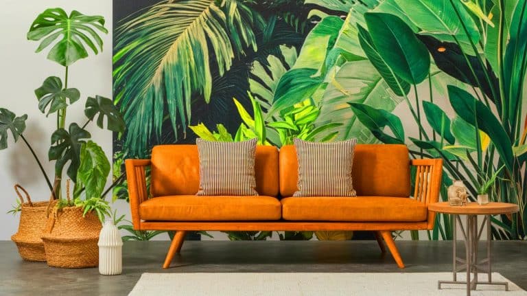 Une startup australienne bouleverse l’industrie textile : du cuir végétal révolutionnaire pour des vêtements durables à l’impact écologique spectaculaire