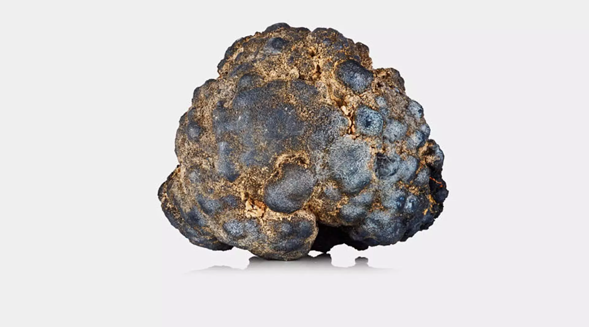 Les firmes de l'exploitation minière en haute mer s'intéressent aux nodules polymétalliques de la taille d'une pomme de terre, riches en nickel, cuivre, cobalt et manganèse.