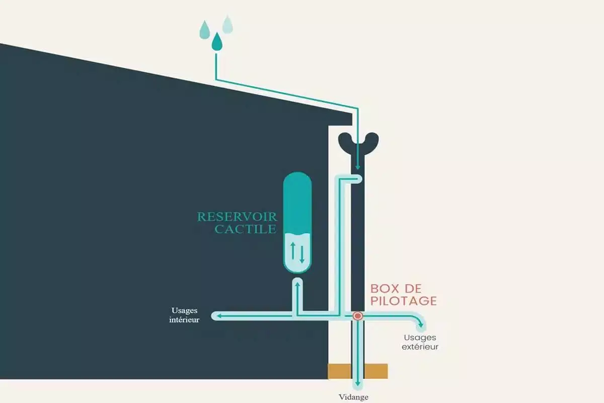 Comment fonctionne le système de récupération d'eau murale de Cactile.