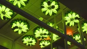 Illustration de l'installation lumineuse modulaire inspirée par les colonies végétales, générée par intelligence artificielle.