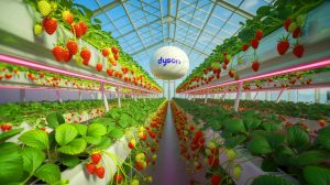 Illustration de la technologie innovante de culture de fraises en serre par Dyson. Image réalisée par IA.
