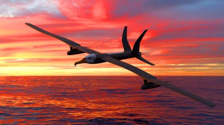 Illustration de l'inspiration des drones par les techniques de vol des albatros.