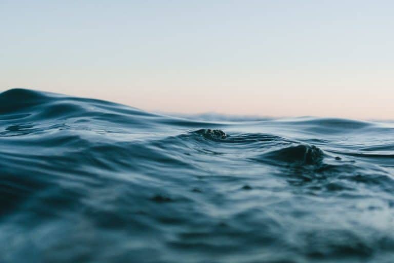 Les Assises de l’économie de la mer 2025 : cap sur l’avenir maritime français à La Rochelle