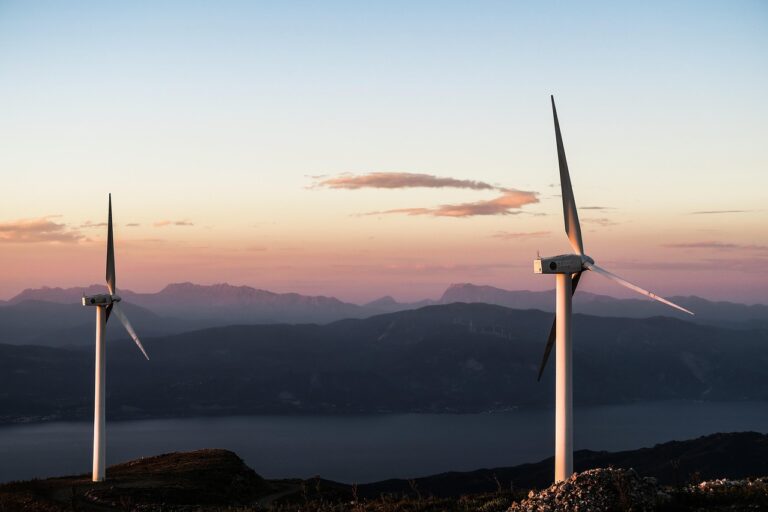 Idée de business écologique pour un avenir durable