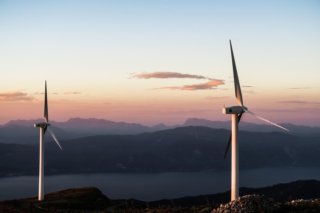 Idée de business écologique pour un avenir durable