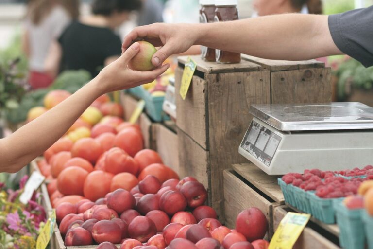 Idée de business local pour booster l&rsquo;économie de votre région