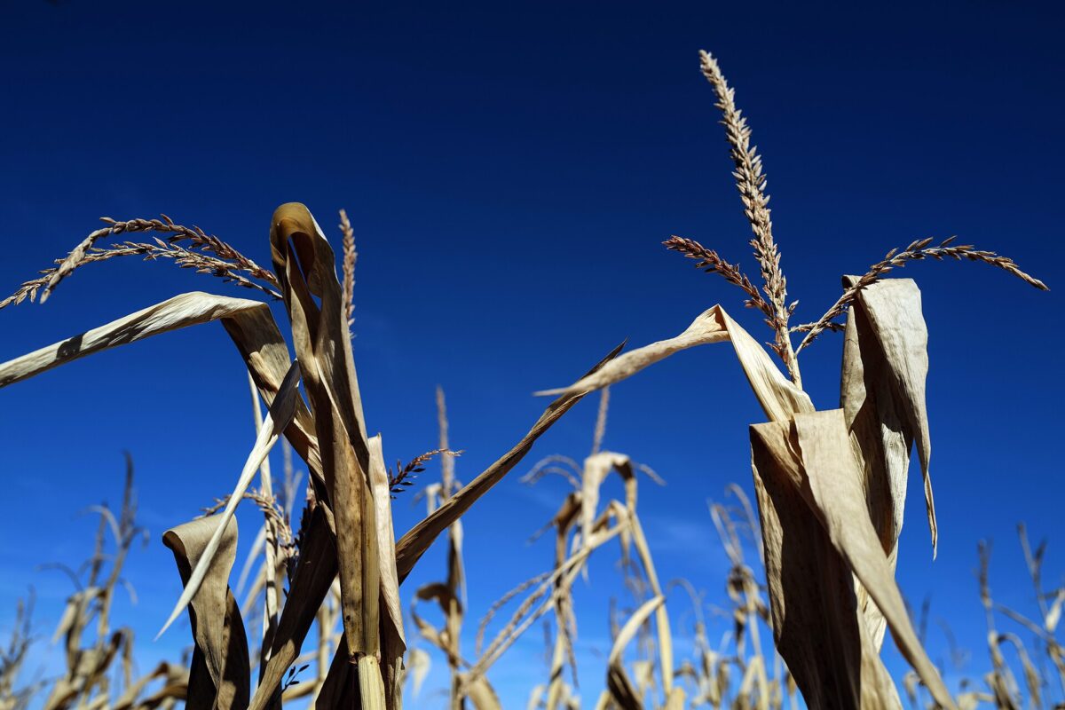 16 milliards d’euros pour l’été climatique 2026, mais pas une facture à répartir entre les entreprises