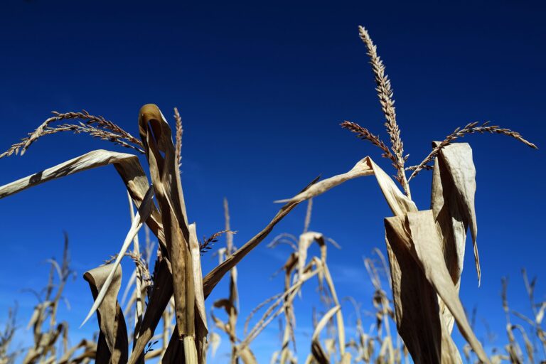 16 milliards d’euros pour l’été climatique 2026, mais pas une facture à répartir entre les entreprises