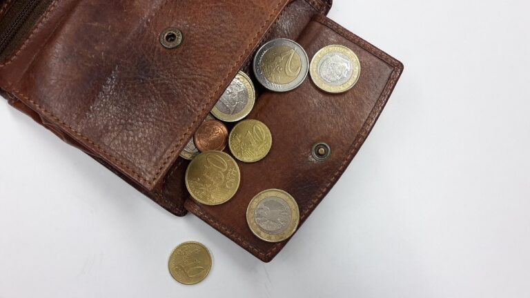 Micro-entreprise : le rapport de l’Igas pointe des revenus modestes et un tremplin qui ne joue pas son rôle
