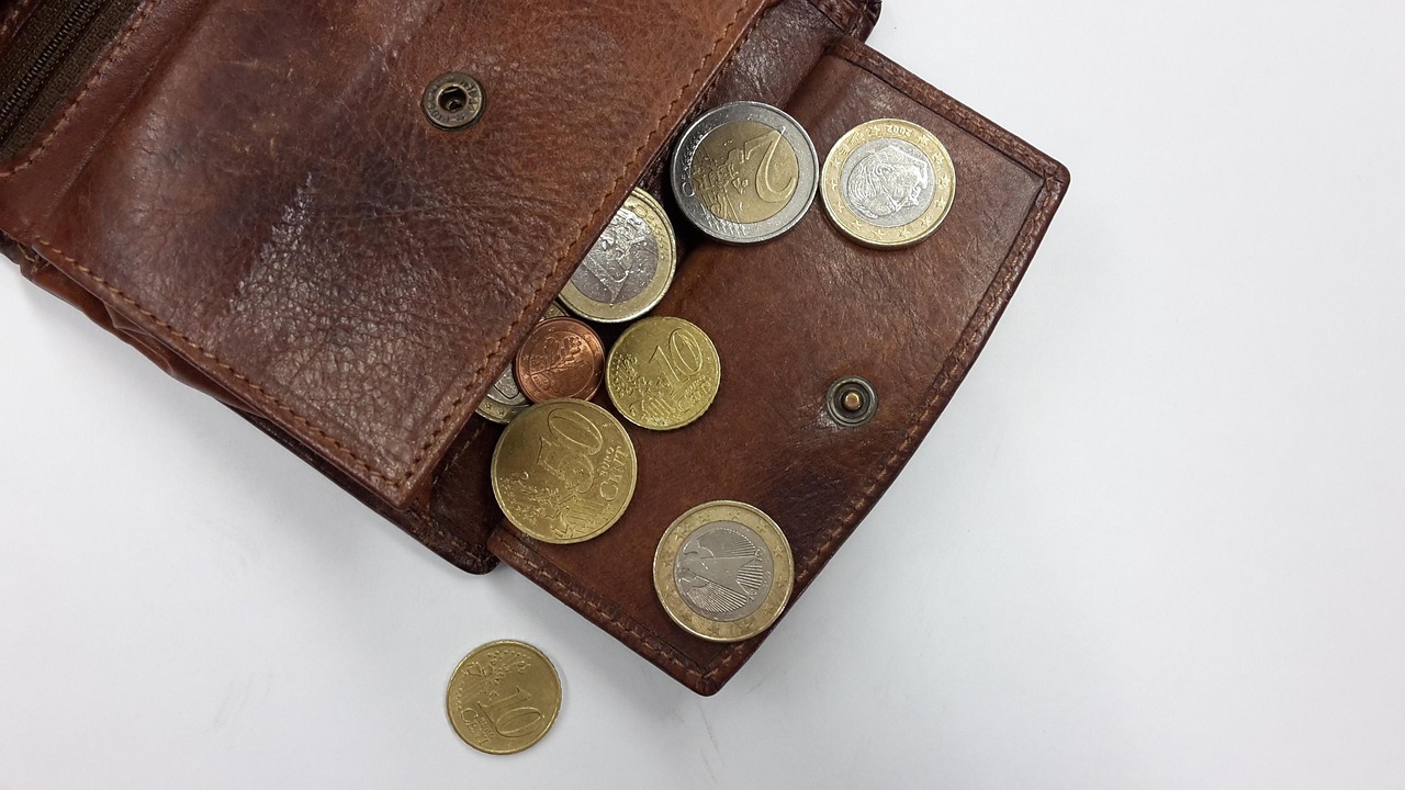 Micro-entreprise : le rapport de l’Igas pointe des revenus modestes et un tremplin qui ne joue pas son rôle